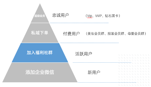 鸟哥笔记,用户运营,运营研究社,微信生态,私域流量,案例分析,企业微信,社群运营,完美日记,私域运营,案例分析,社群运营